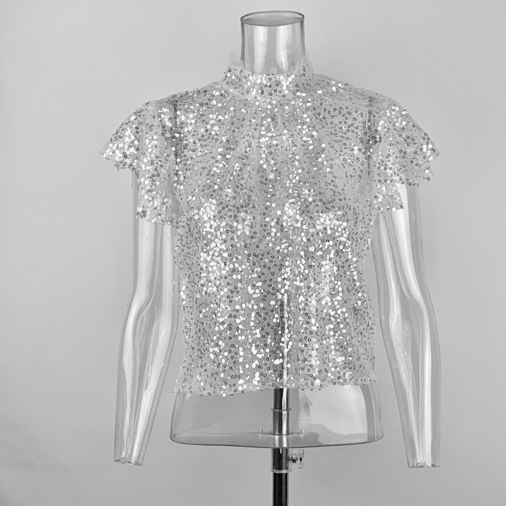 Sheer & sequins top